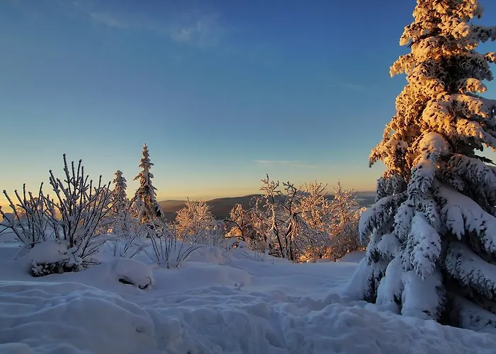 Gæstehus Waldfrieden 3*